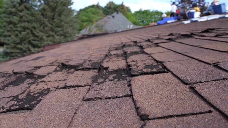 Fast & Reliable Emergency Roof Repairs in Berne, IN