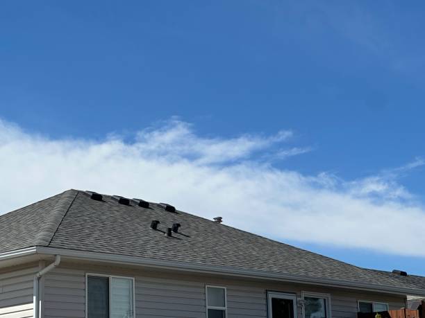 Roof Moss and Algae Removal in Berne, IN